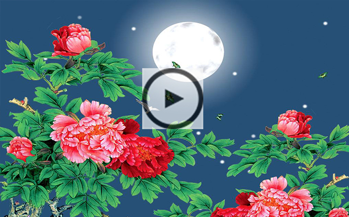 <b>古筝曲《花好月圆夜》入门教学视频含d调谱子</b>