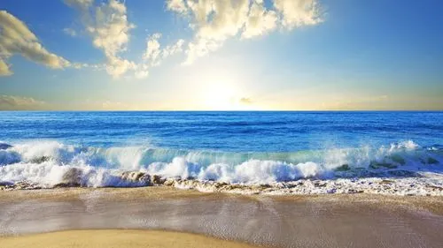 歌曲《大海》古筝D调演奏版简谱及伴奏下载